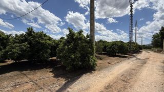Landgut in Pobla Llarga (la). Campo de naranjos en venta en carcaixent