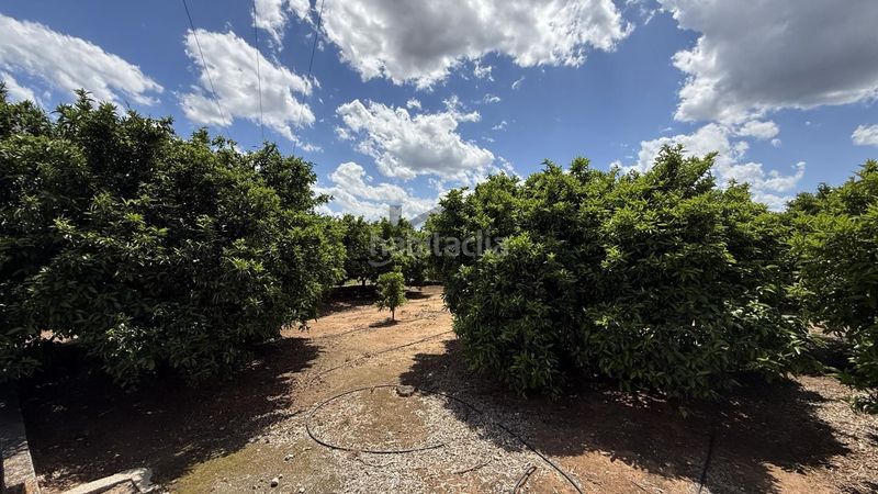 Foto d5ad44be-4a78-47c4-b851-0a1ec03ae76b. Finca rústica a Pobla Llarga (la)
