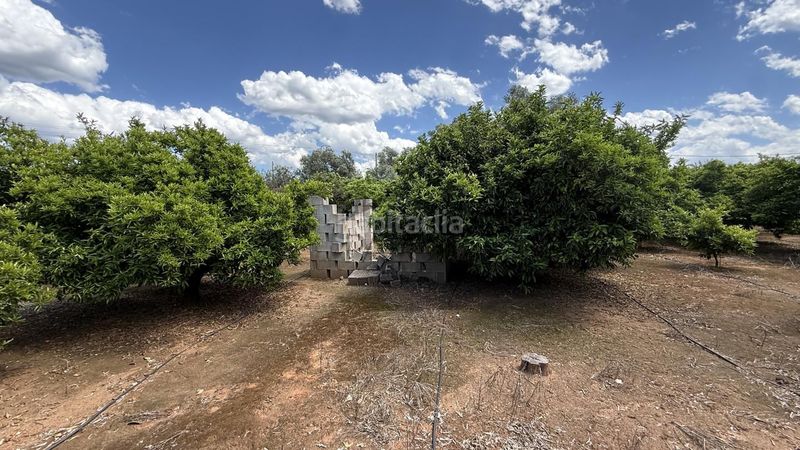 Foto e9d94254-7438-4979-90b8-11260252bb08. Finca rústica a Pobla Llarga (la)