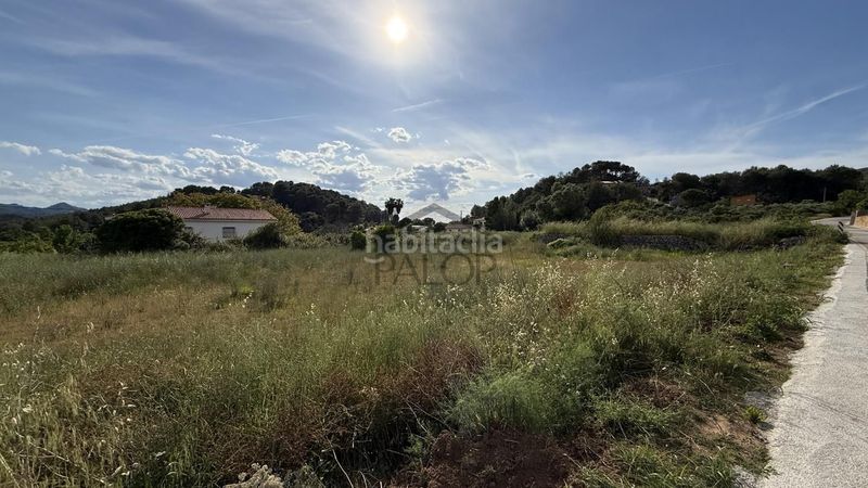 Foto 9f16d3f5-e5a2-4f10-898c-9dfe36ac90d9. Masia a Simat de la Valldigna