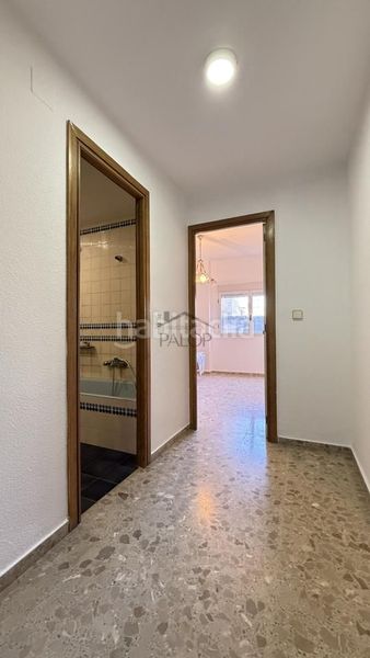 Foto 583da3ab-4d9a-49b0-b61e-50c364764b31. Pis a Carcaixent