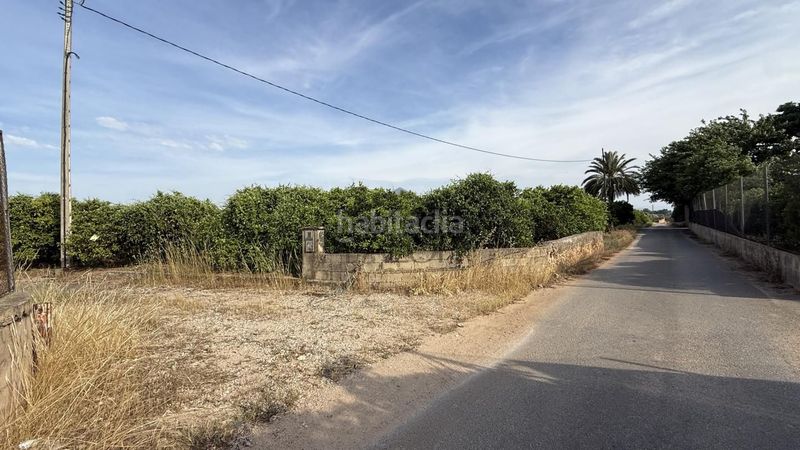 Foto 4319b076-cf80-4336-8ae5-840395cc99e2. Finca rústica a Carcaixent