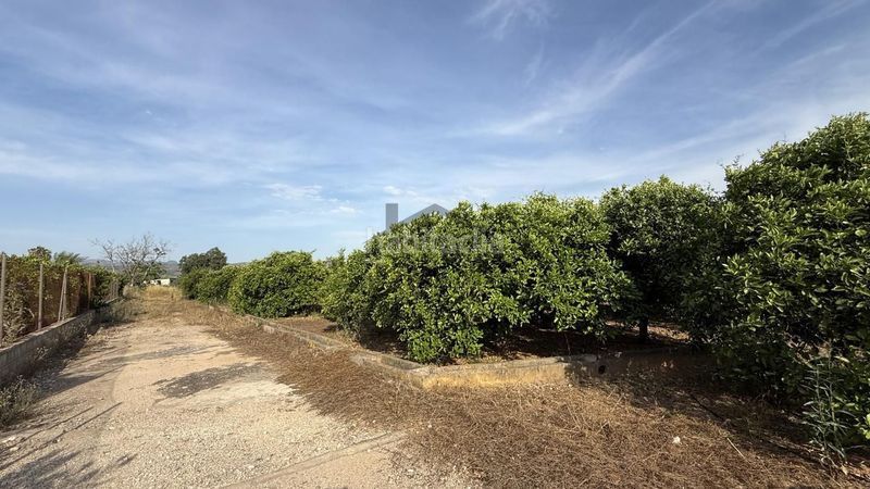 Foto 789347f7-2494-4521-b6a5-9be32b3727f6. Finca rústica a Carcaixent