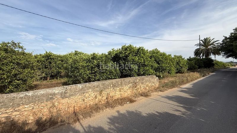 Foto dc01ed43-5c75-4586-9853-ac20287a9251. Finca rústica a Carcaixent