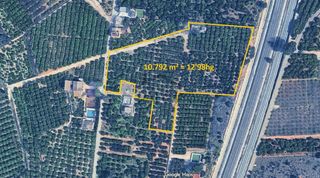 Finca rústica a Carcaixent. Terreno de naranjos con posibilidad de construir