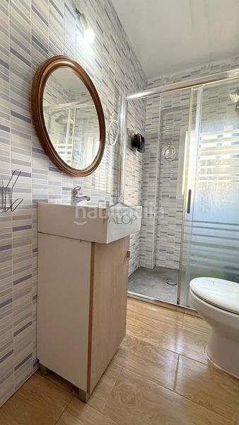 Foto 5e8302d1-1984-457f-ad9c-d6c7f2aa2315. Pis a Alberic