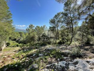 Residential Plot in Carcaixent