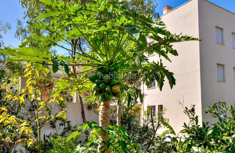 Foto dda5ad94-28ad-4e2d-86ca-a99c6f60f26f. Casa bifamiliare con parcheggio piscina in Torreblanca del Sol Fuengirola