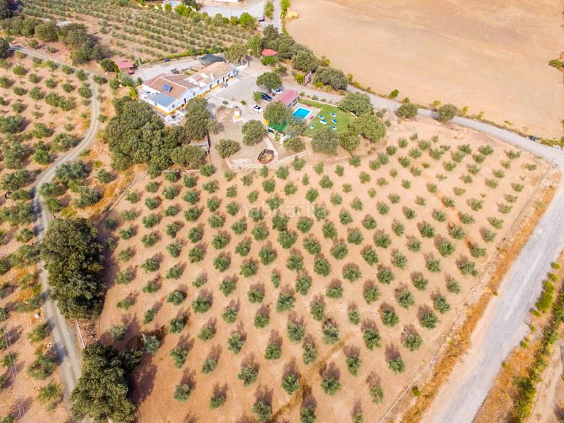 Foto 5cf7dabb-88f8-42f7-a77a-631e0c1a32c5. Mas avec parking piscine dans Archidona