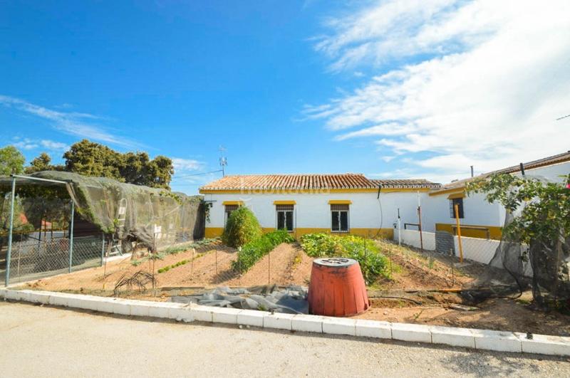 Foto a702428e-4604-4a15-8cb5-45c334d371b6. Mas avec parking piscine dans Archidona