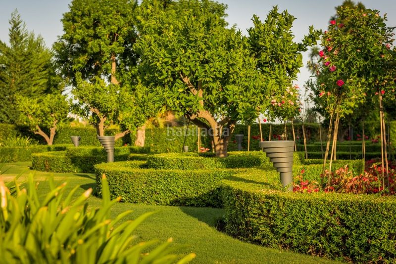 Foto 6a5ba91c-3715-459e-9a78-05a0916582ed. Xalet amb calefacció aparcament piscina a Nagüeles Alto Marbella