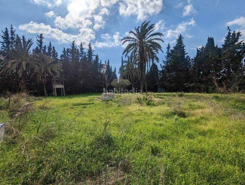 Foto 9a1f049b-bbad-498d-9ed4-70eba894ea31. Finca rústica a Valdeolletas - Las Cancelas - Xarblanca Marbella