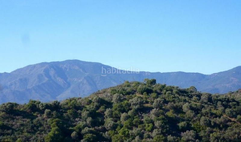 Foto 7be9ae3e-24cc-4010-8ce9-4d729ff2019a. Propriété dans Parque Central Estepona