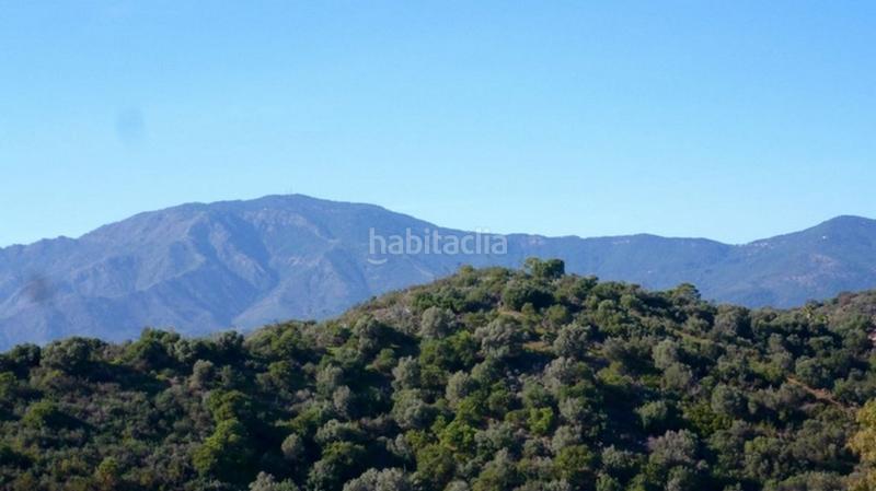 Foto 70b50b39-7c60-423f-9169-275e29cd47ea. Rural plot in Parque Central Estepona