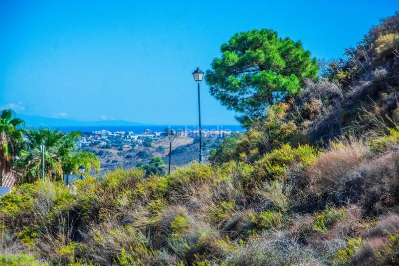 Foto d1c83294-246b-4791-9401-163ac067a773. Finca rústica en La Cala Golf - Lagar Martell Mijas