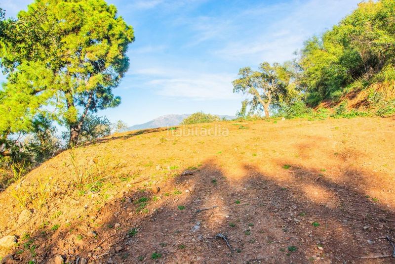 Foto f8553e37-8dc5-41b1-bf0e-0f073052522e. Finca rústica a La Mairena Ojén
