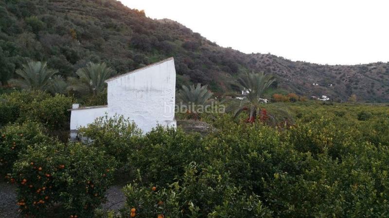 Foto 31adf830-2550-4031-9ada-71db0d564499. Chalet avec parking dans Pizarra