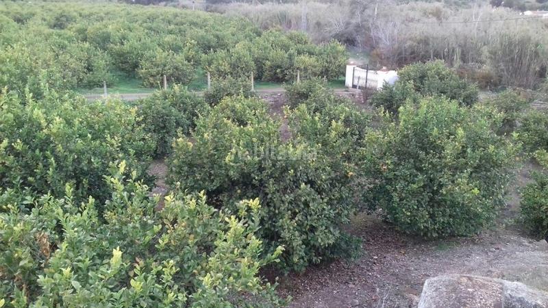 Foto bb78252d-2e83-4c91-b702-04558b89ef9a. Chalet avec parking dans Pizarra