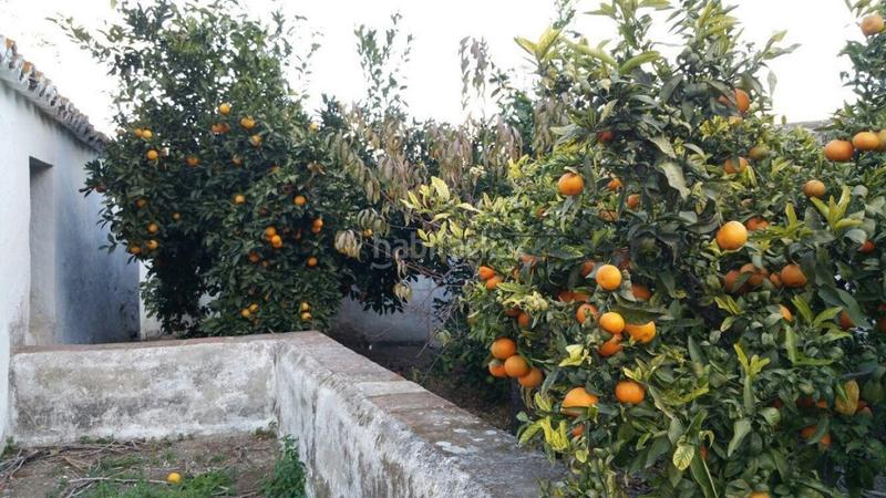 Foto f80f102c-d7ae-4fb4-8636-7dce694d8231. Chalet avec parking dans Pizarra