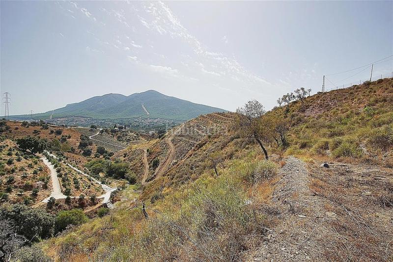 Foto 841d679b-b64f-473d-a35d-65f9b75cb1c6. Finca rústica a Centro Alhaurín el Grande