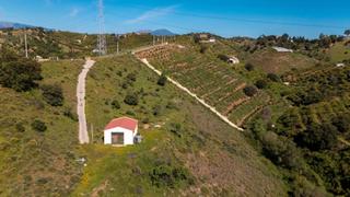 Finca rústica a Centro