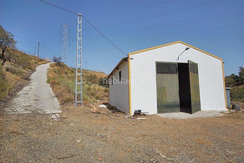 Foto f7384e3f-f000-4835-80ec-ce5e42c4dd38. Finca rústica a Centro Alhaurín el Grande