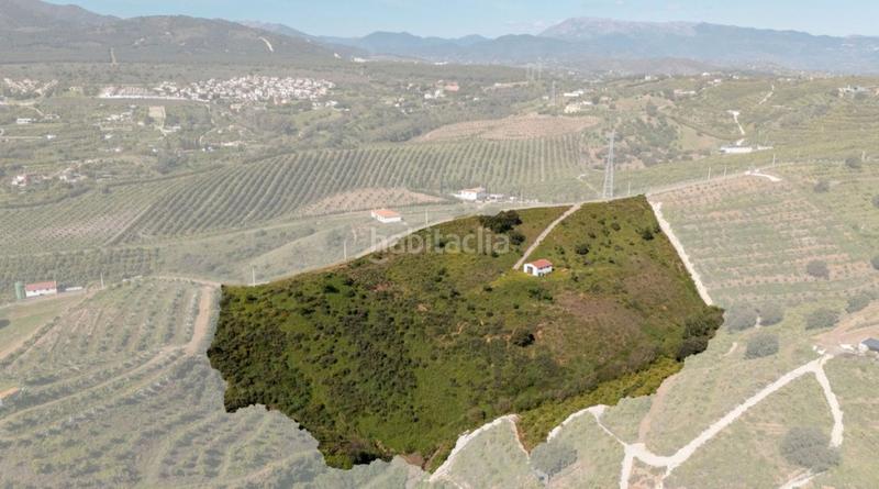 Foto bd82ac40-17b9-4d1d-ab34-003ac64efbcf. Finca rústica en Centro Alhaurín el Grande