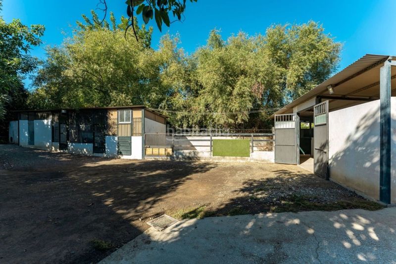 Foto dda226bc-ad40-4618-811c-a97474d30c55. Masia amb piscina a Coín
