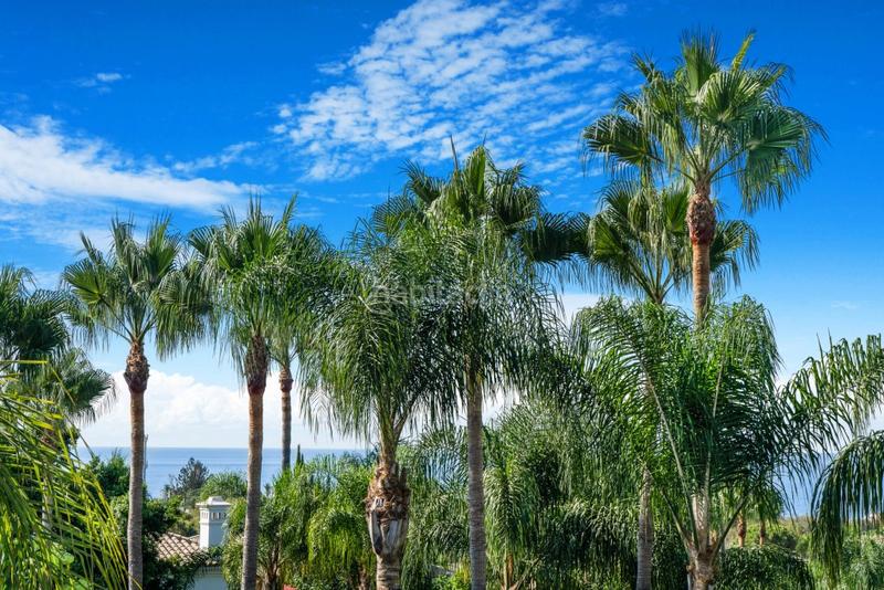 Foto 4a0c1c7c-ffb5-4964-b327-8c1987ef21d8. Chalet en lomas de Marbella club Marbella