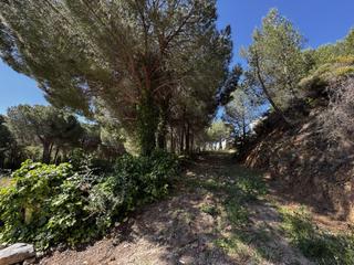 Finca rústica en Valtocado - La Alquería - La Atalaya