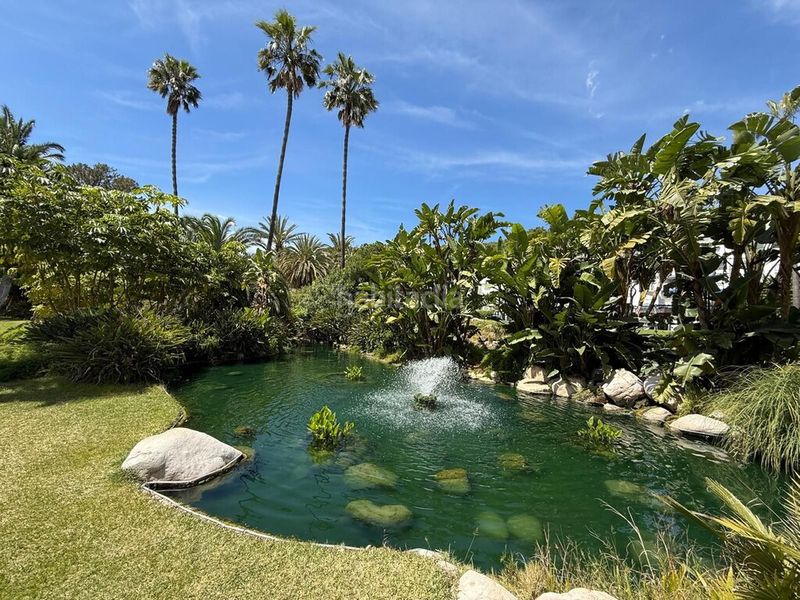 Foto 25b82cdf-a0bb-4e33-812a-feae1470be2d. Penthouse with parking pool in Puerto Banús Marbella