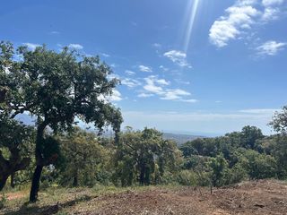 Finca rústica a La Mairena