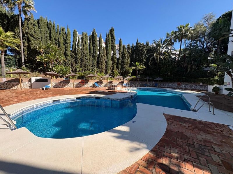 Foto 538095cc-187f-41ad-8c9c-682edc2a87ea. Apartament amb piscina a reserva de Marbella Marbella