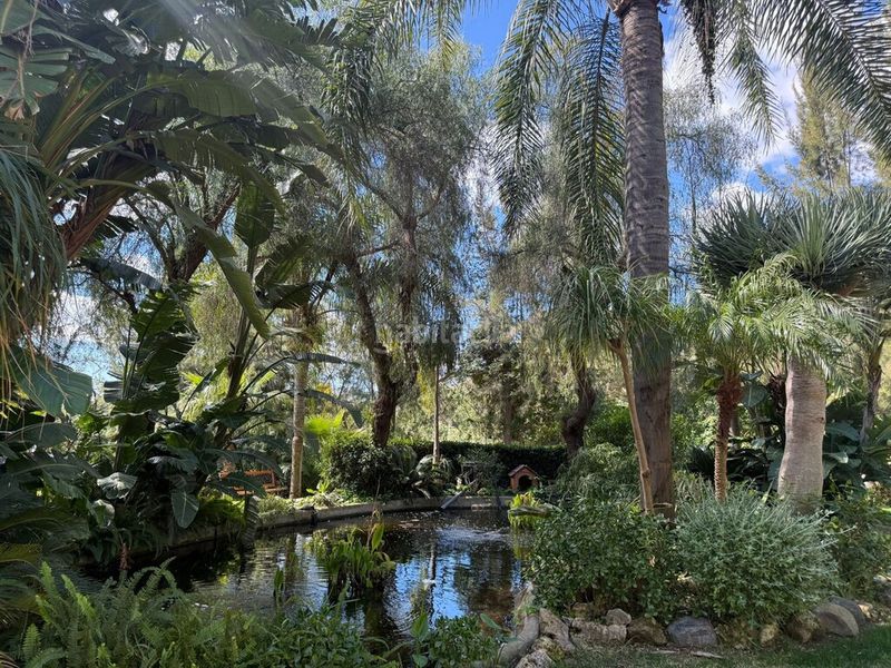 Foto ae7925d6-9091-44ce-a3ae-17678fdf36a9. Apartament amb piscina a reserva de Marbella Marbella