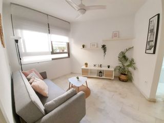 Miete Appartement  Calle periodista juanito cortés. Sensacional apartamento en olletas por 800€