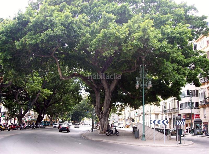 Foto 2b4e0ab2-4c4e-4118-be16-68b3c28b95d6. Rent apartment in Centro Histórico Málaga