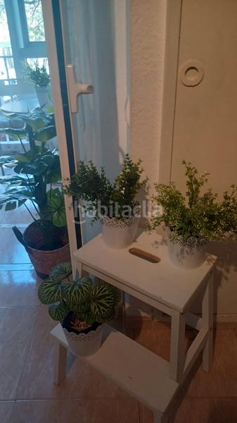 Foto a8d9f4cd-75b5-46b4-a2c9-4287d6f22203. Location studio dans Parque de la Paloma Benalmádena