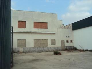 Bâtiment à usage industriel à Pedroso (El). Nave industrial en venta en la rinconada