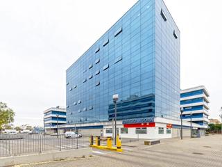 Office space  Calle pino estrobo. Magnifica promoción en el parque empresarial royal