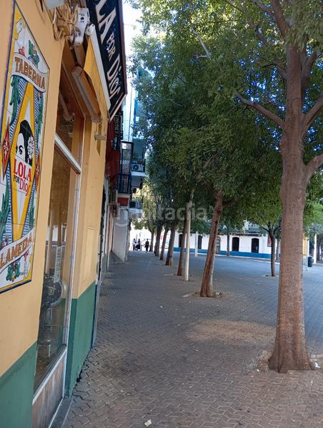 Foto e3d11b1f-6342-4576-8b89-bf7062be22c5. Apartamento oportunidad unica de vivir en el centro en Sevilla