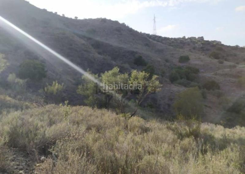 Foto 7d22f64a-6fe7-4cc4-a453-0a1d8fd55b4d. Fondo rustico in El Cortijuelo Málaga