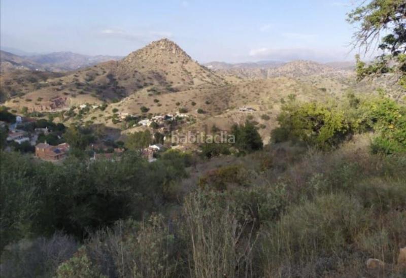 Foto 8bbbb711-37cd-4b7c-9507-9a0d4317939b. Fondo rustico in El Cortijuelo Málaga