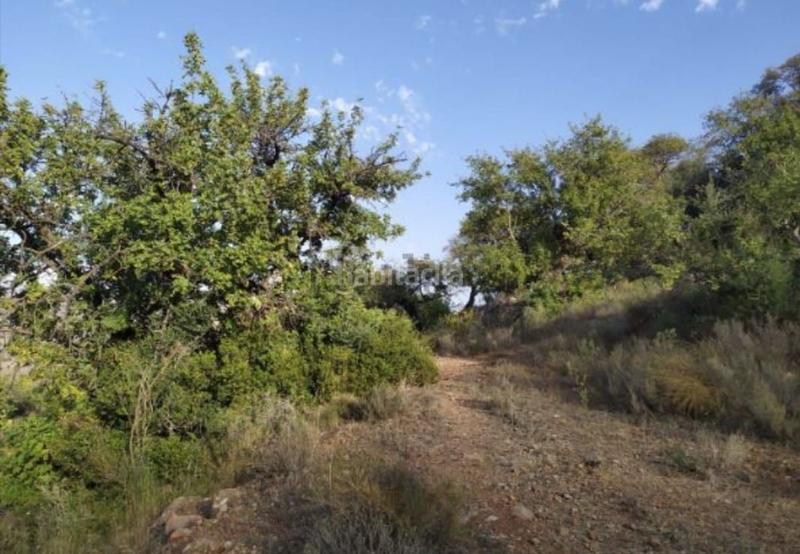 Foto 5dd21760-c175-4c6e-b67a-2ca4a64eec2a. Finca rústica en El Cortijuelo Málaga