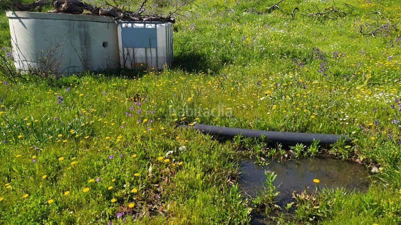 Foto 3f68a1b8-9002-4fde-bcc3-be3913036167. Finca rústica a Cártama pueblo Cártama