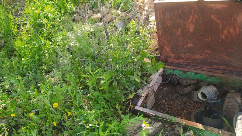 Foto 78369797-7d0b-42a7-ab23-1ae3266a696d. Finca rústica a Cártama pueblo Cártama