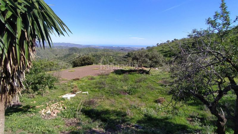 Foto 945f1607-cb43-4091-bcb5-a02a24dbcf2c. Finca rústica a Cártama pueblo Cártama