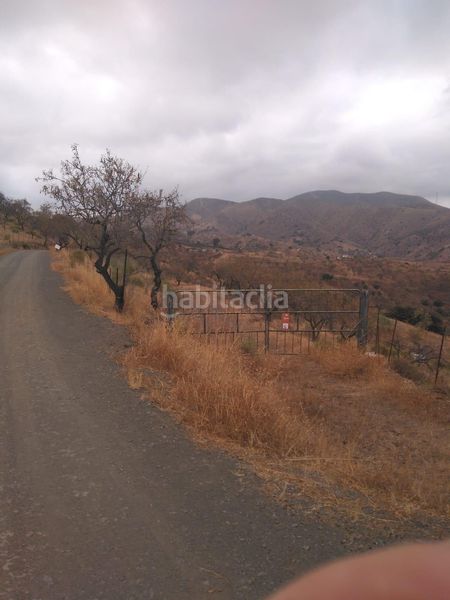 Foto b2cba92b-c2bb-47f8-816c-f2f51bd11054. Finca rústica a Cártama pueblo Cártama