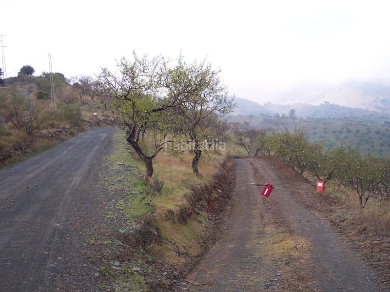 Foto c0d85b58-469c-415a-bffe-e97ceb931093. Finca rústica a Cártama pueblo Cártama