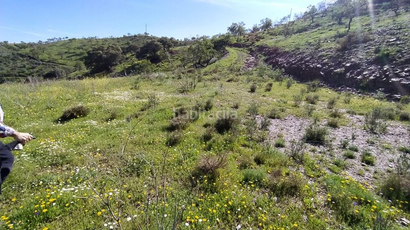 Foto f02172e1-acf5-4727-9182-7e962372c115. Finca rústica a Cártama pueblo Cártama