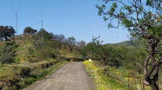 Finca rústica a Cártama